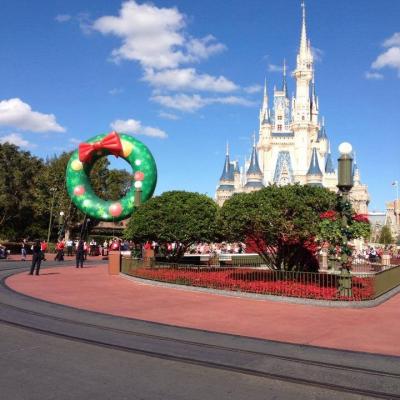 Florida Intensive At Disney World 123